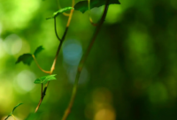 ​微信说说心情八字短句子简短