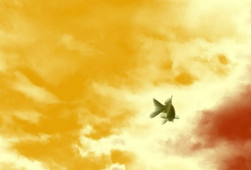 1709633792134207.png image.png