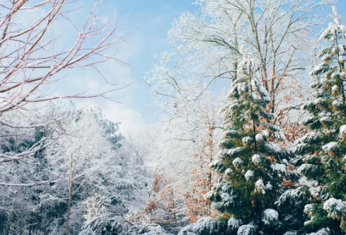 1709633961492068.png image.png