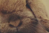 ​8字短句高冷微信签名 8个字人生感悟签名