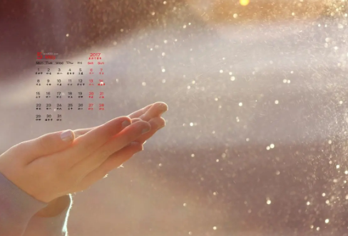 1709637511621852.png image.png