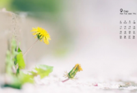 ​形容女孩子可爱的成语(优选11句)