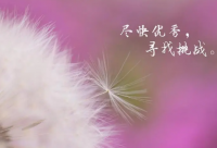 ​2024年有关成功励志的句子(精选100句)