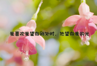 ​关于前行的路上励志句子70句（精选）