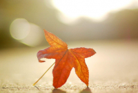 ​减肥激励标语口号 减肥励志口号霸气疫情期间