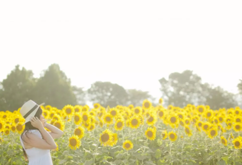 1710779090275919.png image.png