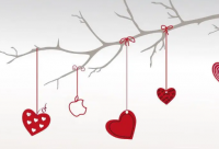 ​关于献血的优美句子 【100句精选】