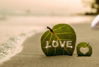 ​形容幼儿园老师的优美句子 【形容幼儿园老师的唯美句子】