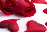 ​淡然释怀的经典语录 【淡然释怀的经典语录短句】