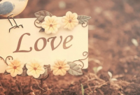 ​成长伤感的句子经典语录 【100句精选】