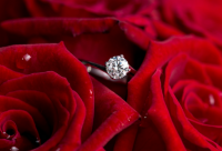 ​白莲花的经典语录 【白莲花经典语录文件】