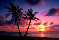 ​关于父亲的优美句子-58句