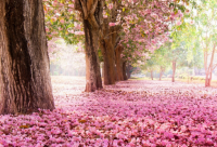 ​优美句子摘抄励志短句长句 【100句精选】