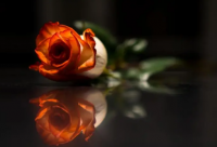 ​班主任经典语录搞笑的 【班主任经典语录搞笑的讽刺】