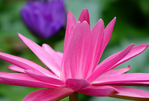 1710876698971657.png image.png