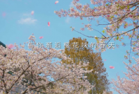 ​春茶的句子经典语录 【关于春茶的唯美句子_短文学】