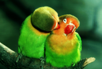 ​关于积极向上正能量的句子励志语录短句（精选）