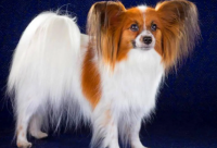 ​正能量励志文案 励志文案简短疫情期间