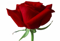 ​早会励志努力短句40条疫情期间