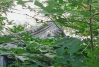 ​适合发朋友圈正能量短句 积极向上正能量励志短句疫情期间