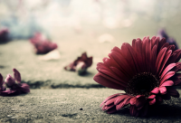 ​赞美鼓励伙伴的话 鼓励小伙伴的励志语疫情期间