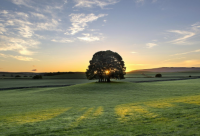 ​生活励志正能量的句子疫情期间（精选）