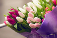 ​关于不忘初心的名言警句大全 不忘初心方得始终的励志短句