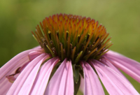 ​2024年高考励志短语句子祝福（精选100句）