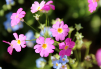 ​朋友圈说说励志 朋友圈心情好句子疫情期间