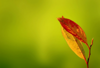 ​送给瞧不起我的人的话 别让人瞧不起的励志语段疫情期间