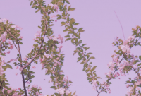 ​每天保持微笑的励志语 配自己微笑的文案疫情期间