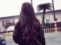 ​优美句子20个字 【100句精选】