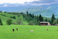 ​路在脚下的励志句子 路是自己走的经典句子
