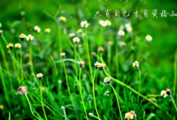 ​男生失恋后的伤感说说(最新句子)