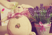 ​在外漂泊的伤感的句子(句子精选)