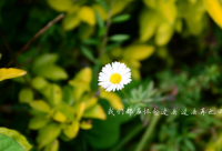 ​放弃的伤感说说(精选62句)