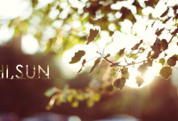 ​关于悔恨的句子 伤感悔恨的句子(最新句子)