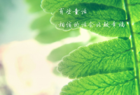 ​自作多情的朋友圈伤感句子集合(45句)