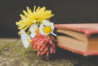 ​情人节伤感的句子精选