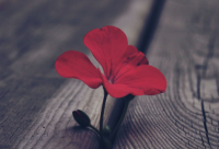 ​配歌词的伤感说说169句