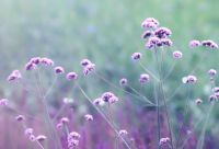 ​快手情感语录句子伤感短句(简短20句)