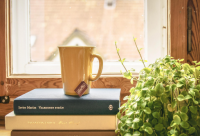 ​内心感觉到孤独无助的伤感短句六十三条