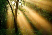 ​一年又快过去了伤感句子(推荐75句)