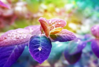 ​工作心累身体累的朋友圈伤感说说(40句)