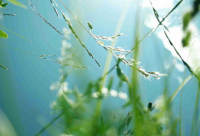 ​十字伤感句子(优选135句)