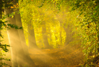 ​爱而不得的伤感句子男生94句