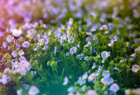 ​qq自动回复内容伤感