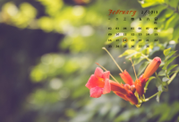 ​独自饮酒醉的伤感微信说说