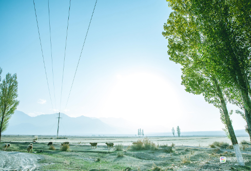 1712623017959479.png image.png