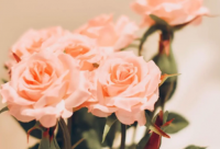 ​表白失败后发的伤感说说